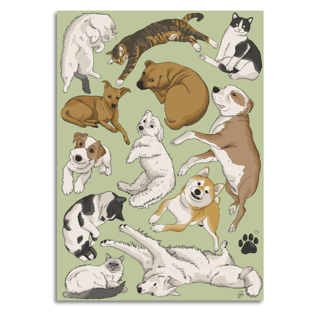 Furry Friends