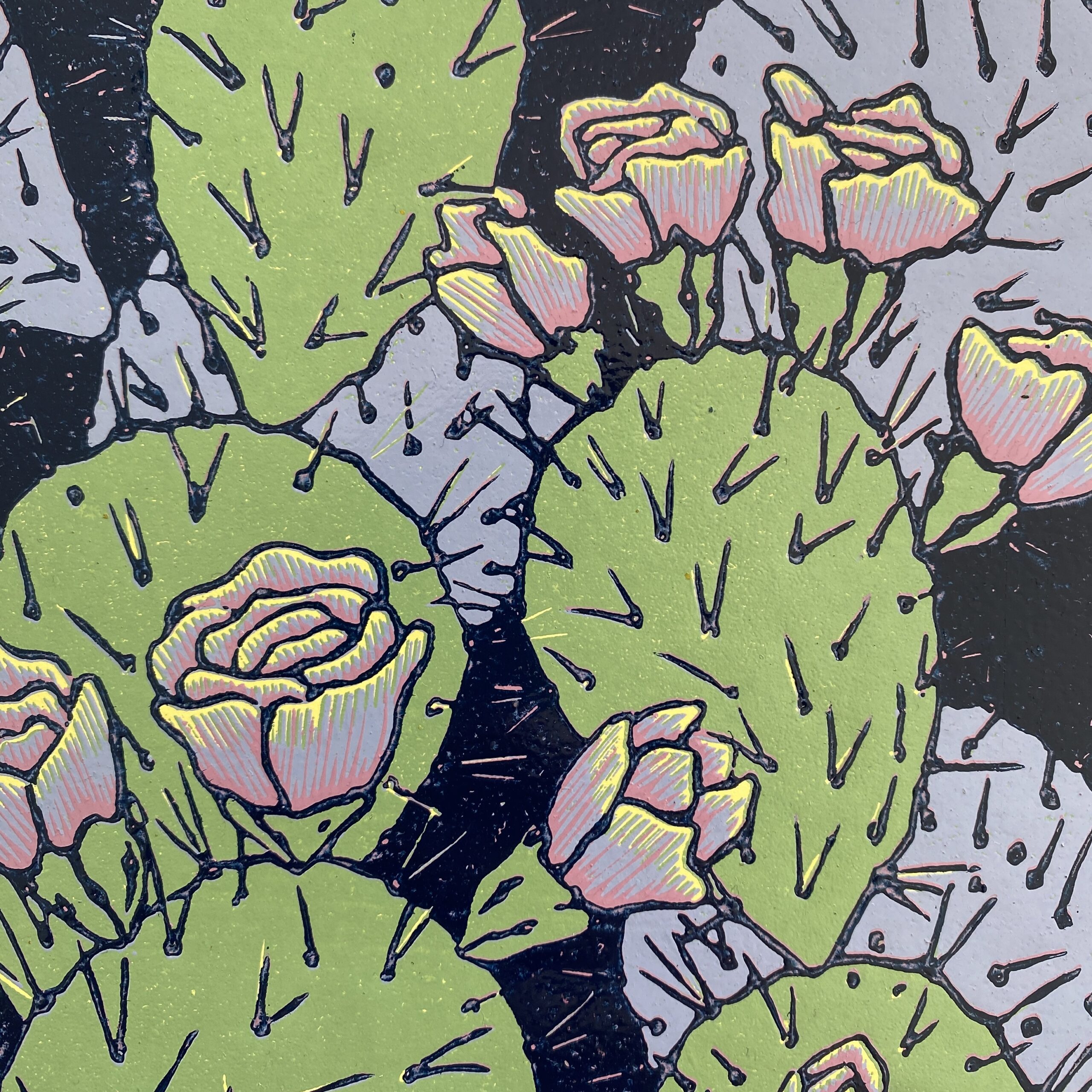 Wśród opuncji I - obrazek 4