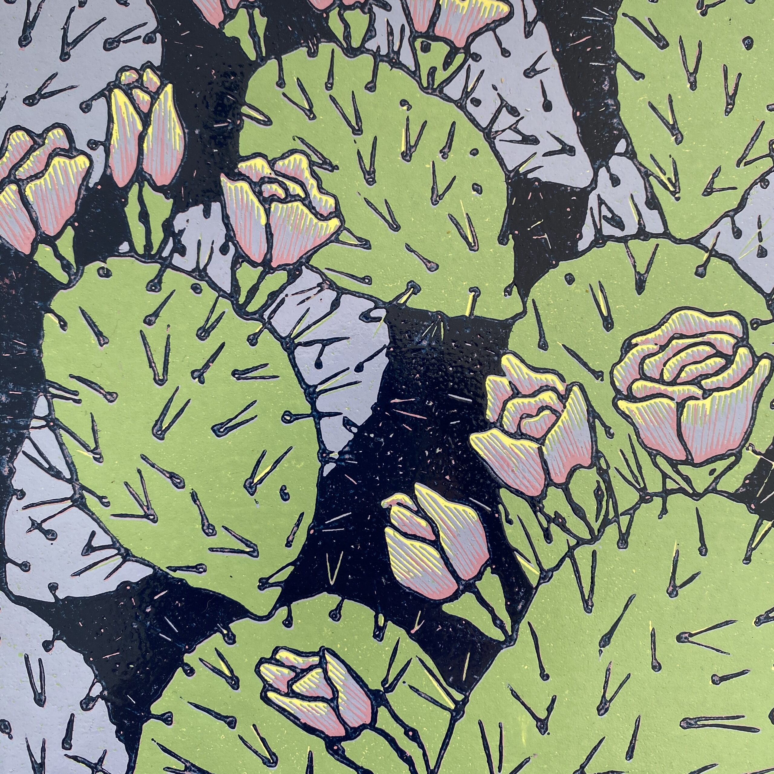 Wśród opuncji I - obrazek 5