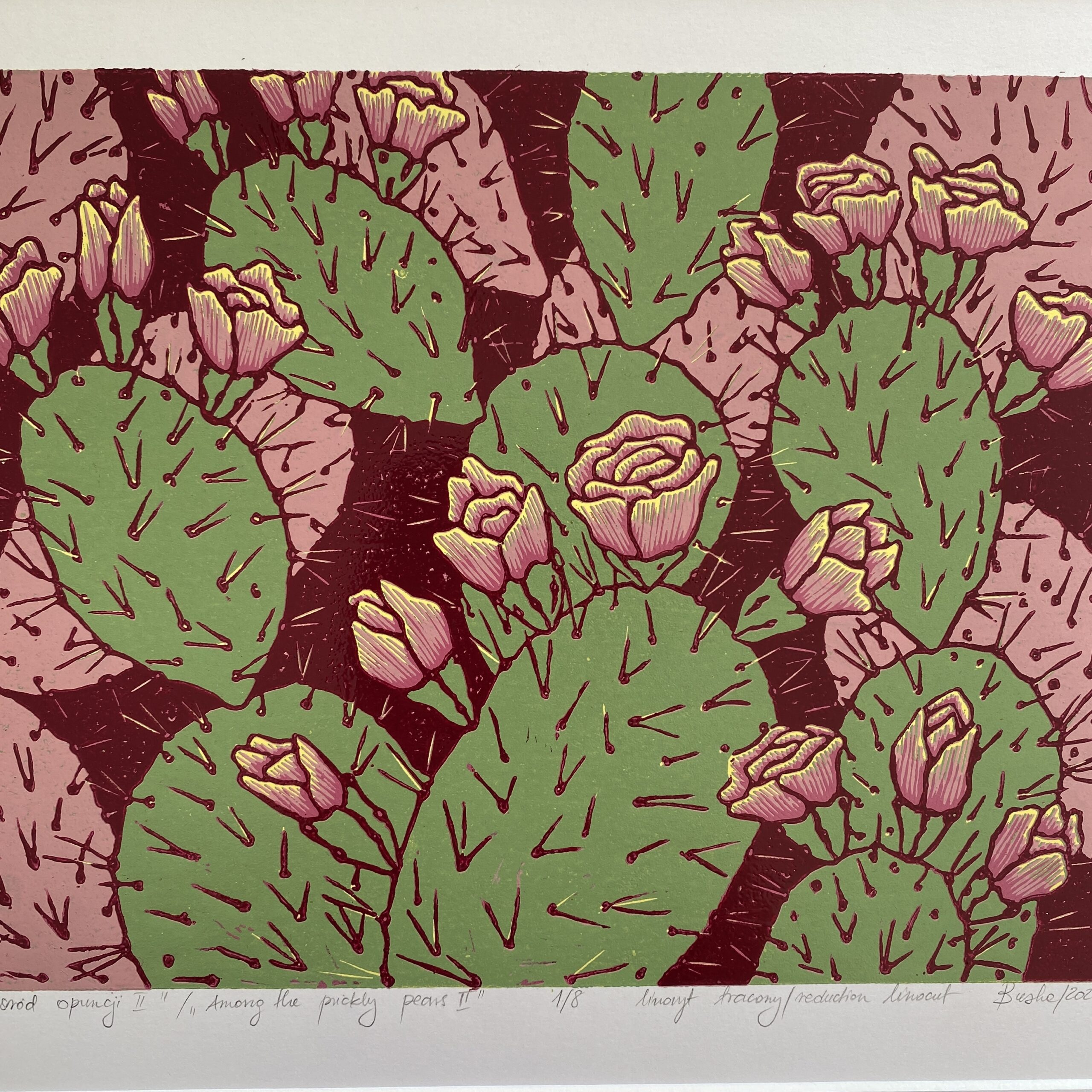 Wśród opuncji II - obrazek 3