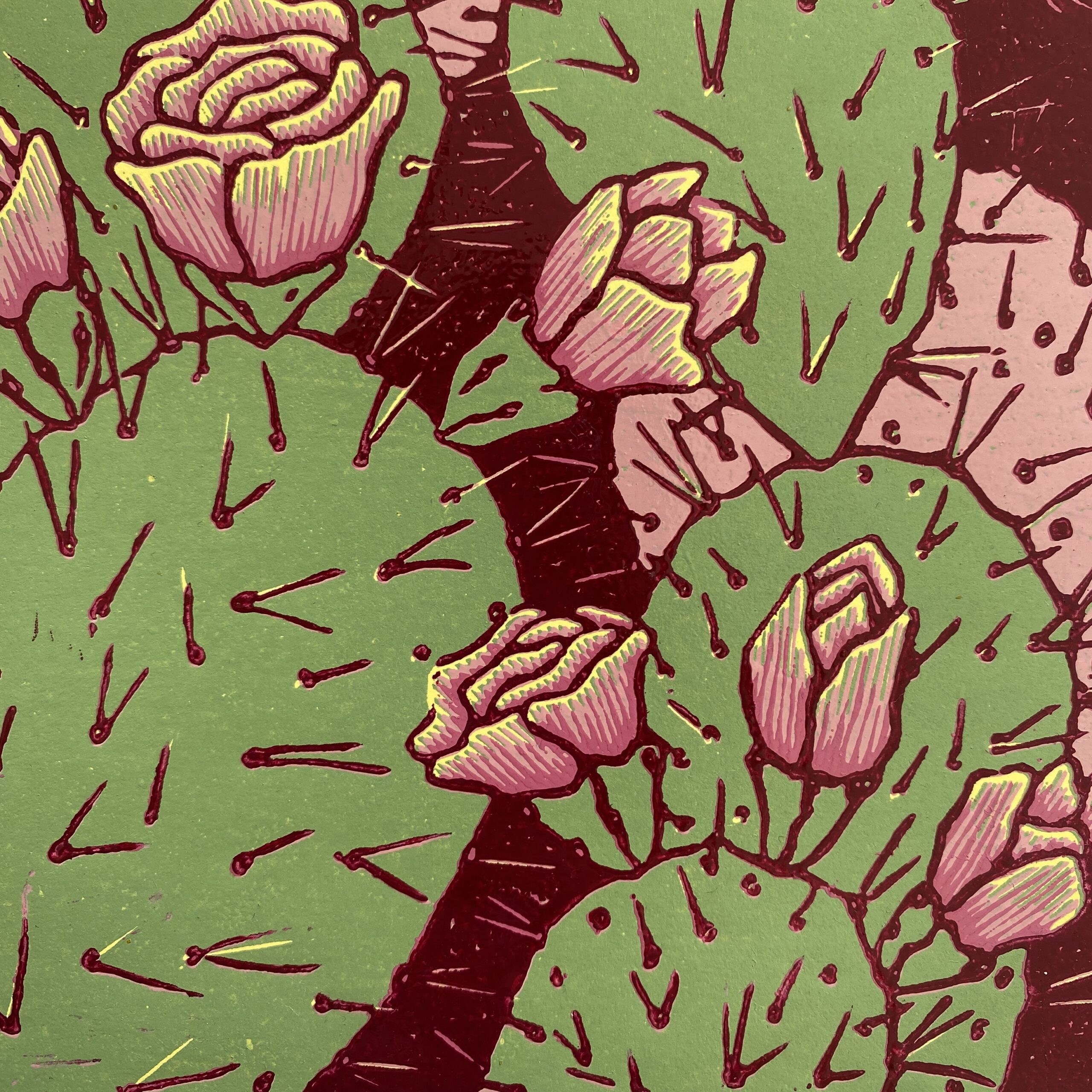 Wśród opuncji II - obrazek 4