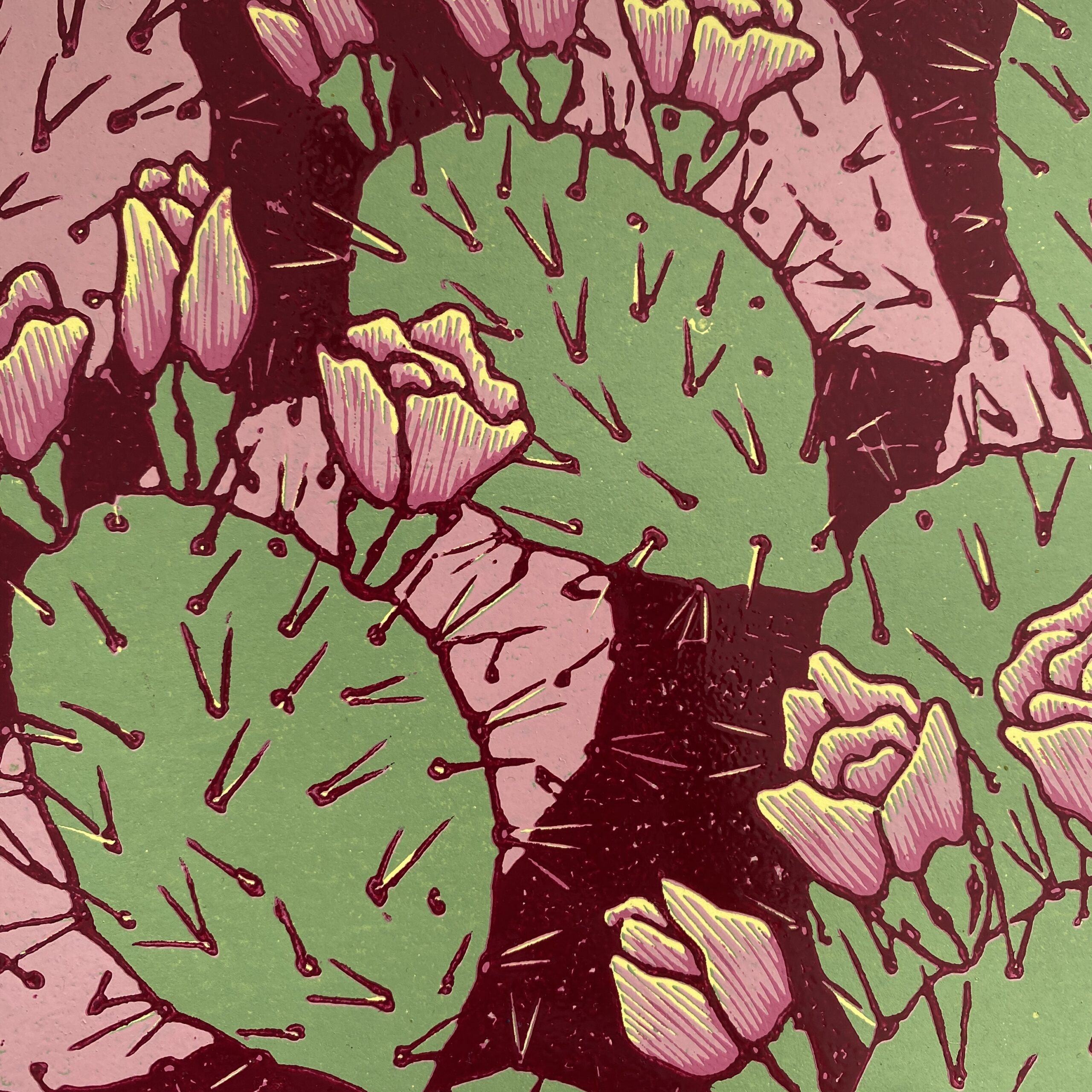 Wśród opuncji II - obrazek 5