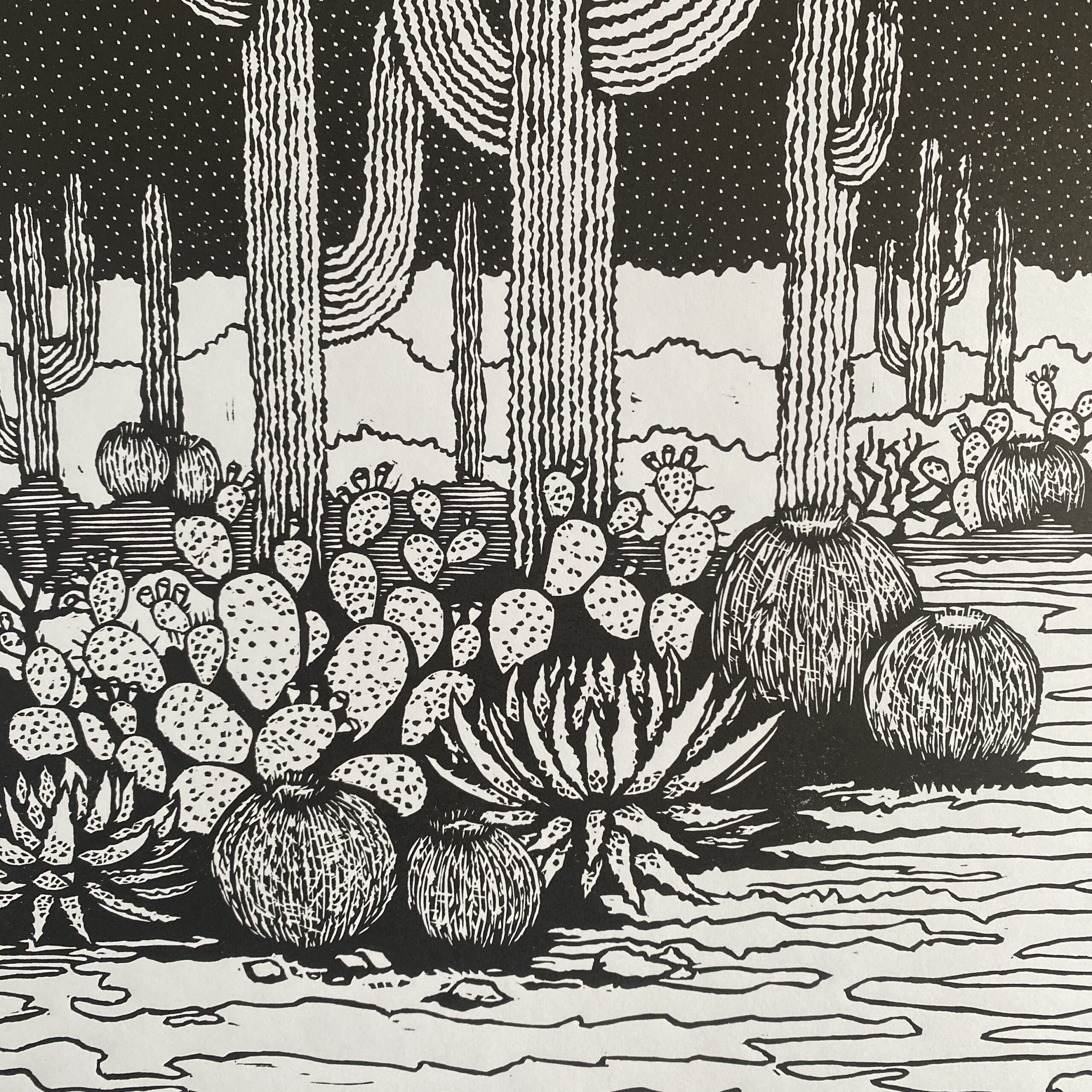 Pustynny ogród - obrazek 4