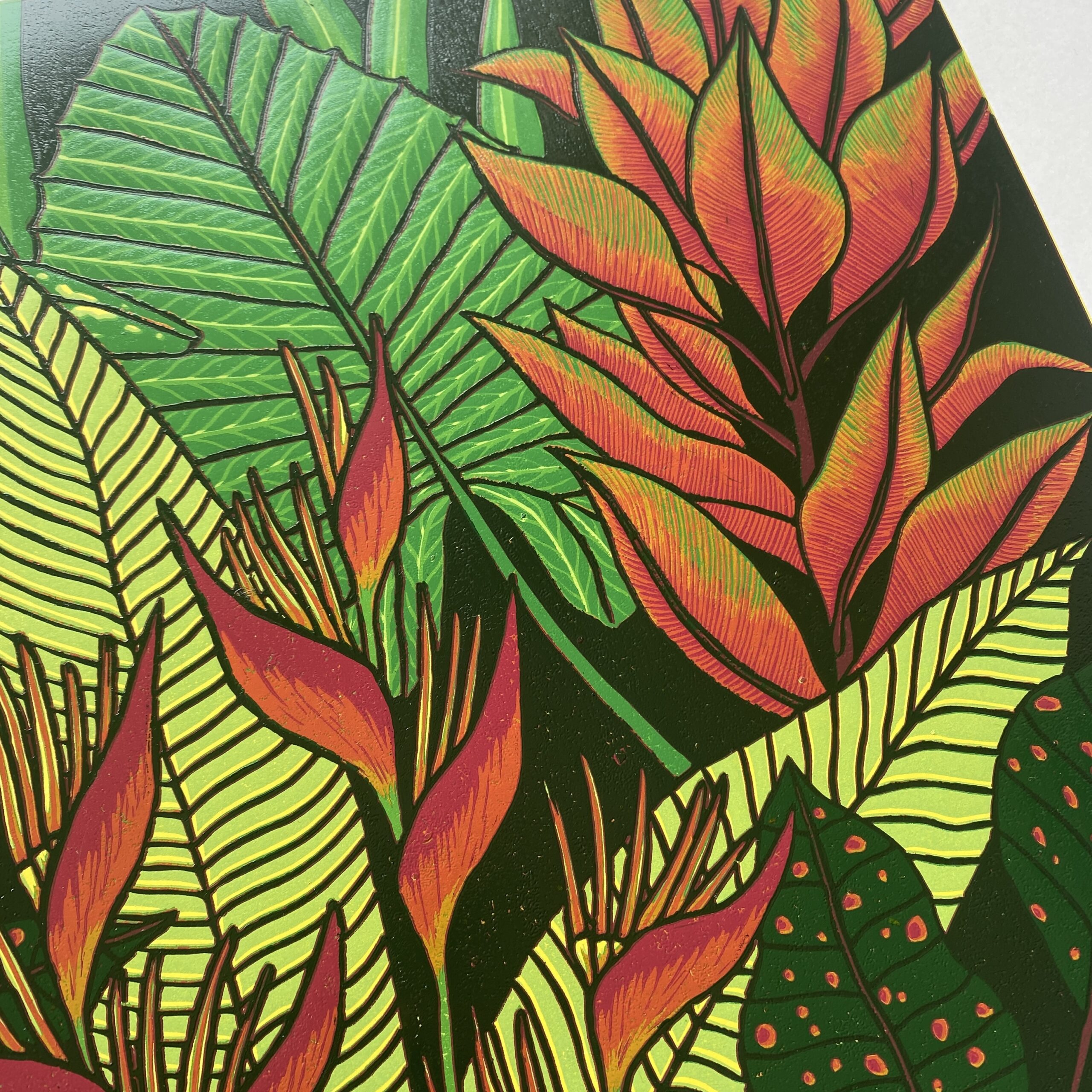 Kolor dżungli - obrazek 5