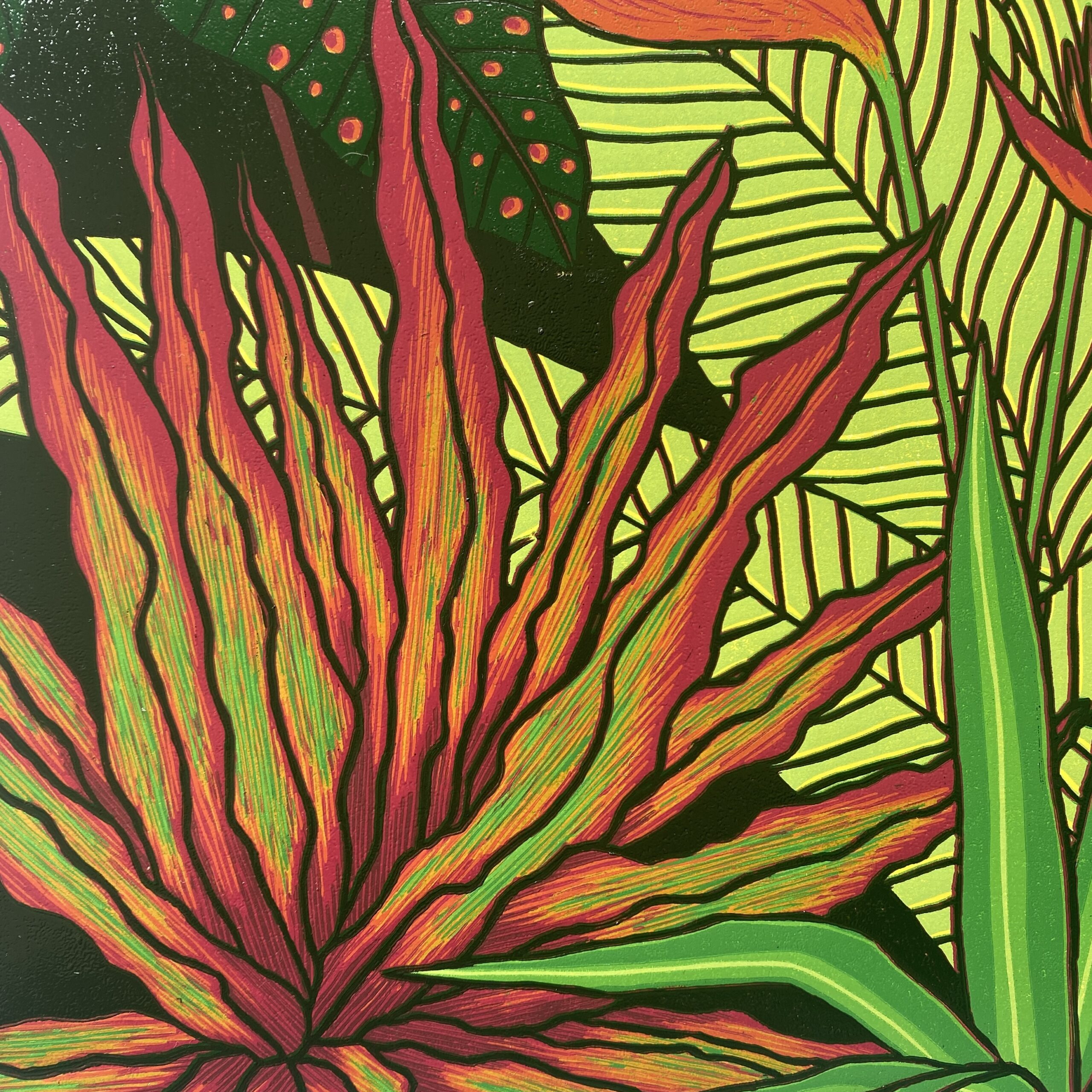 Kolor dżungli - obrazek 7