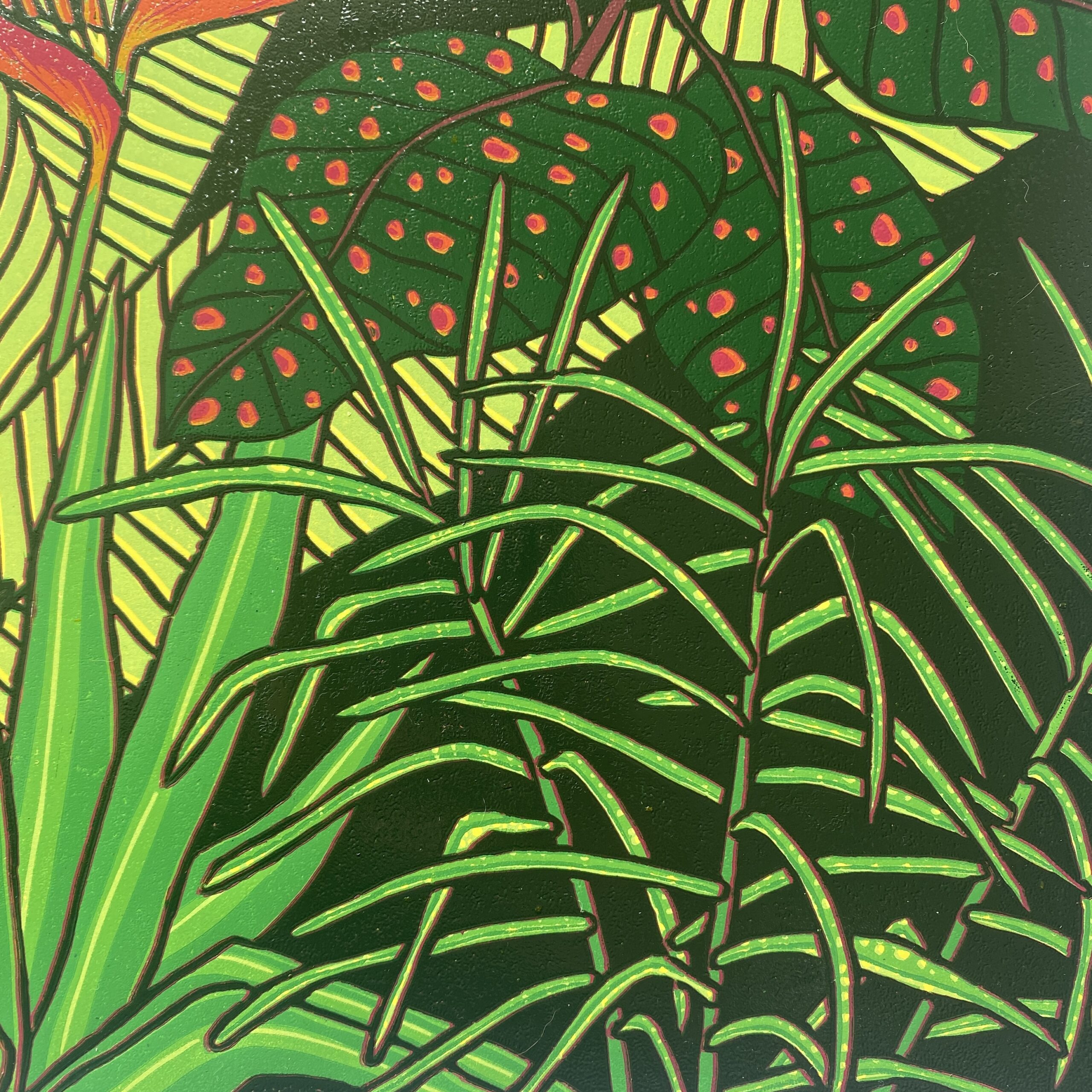 Kolor dżungli - obrazek 10