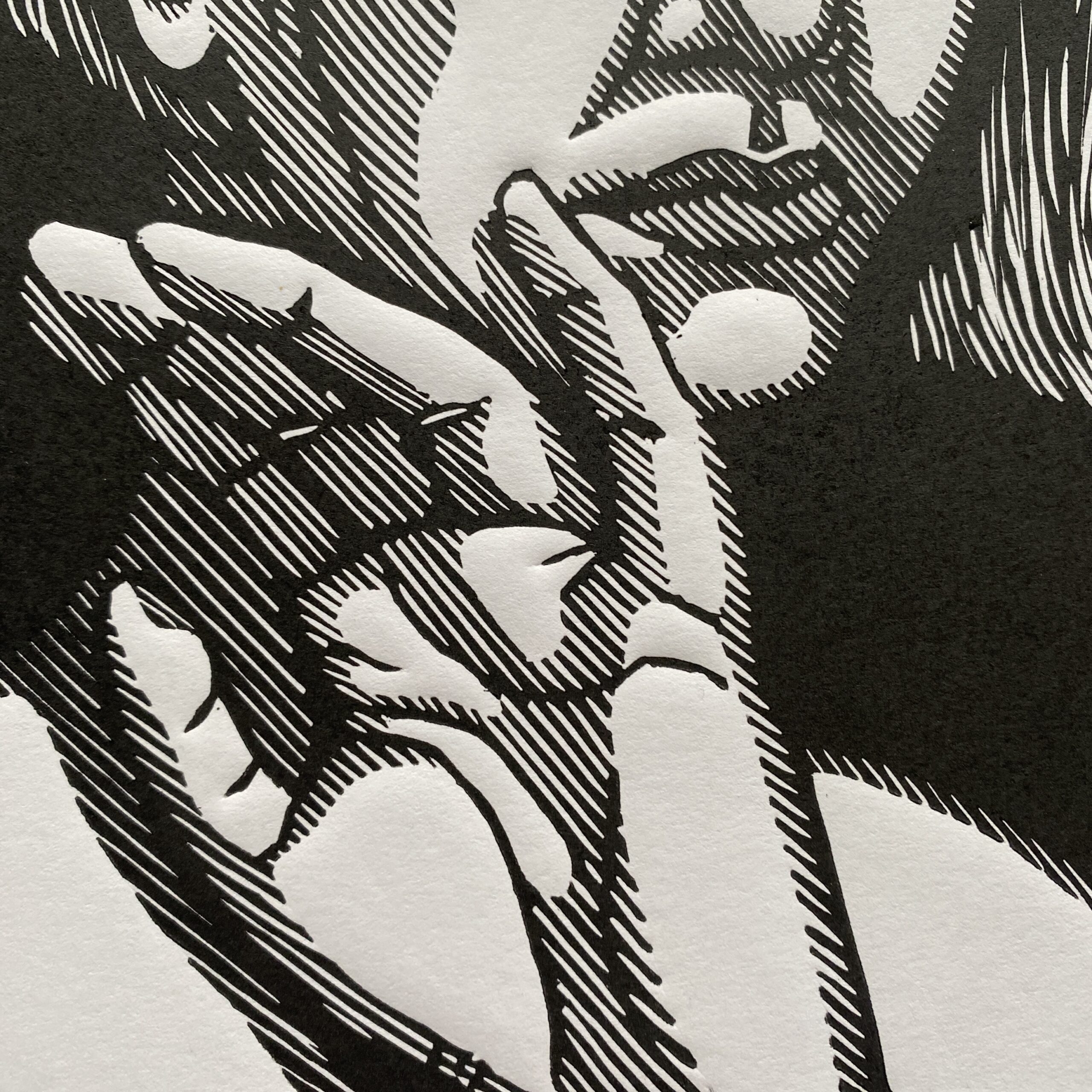 Spojrzenie - obrazek 3